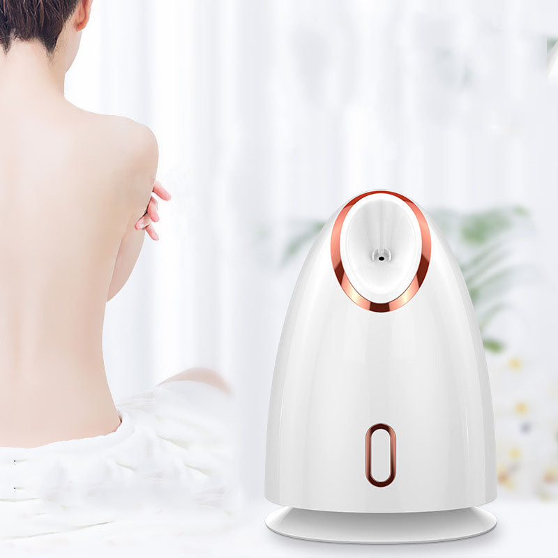 Nano Thermal Spray Moisturizing Face Steamer